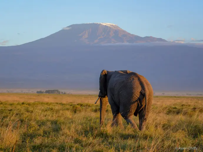 Amboseli